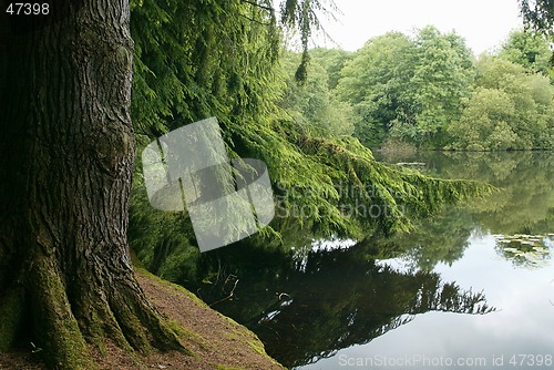 Image of reflections