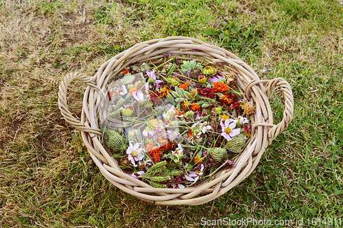 Image of Large woven basket filled with faded garden flowers