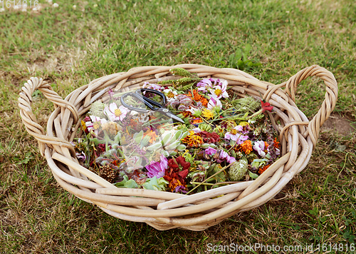 Image of Large basket full of faded flower blooms and seed cases