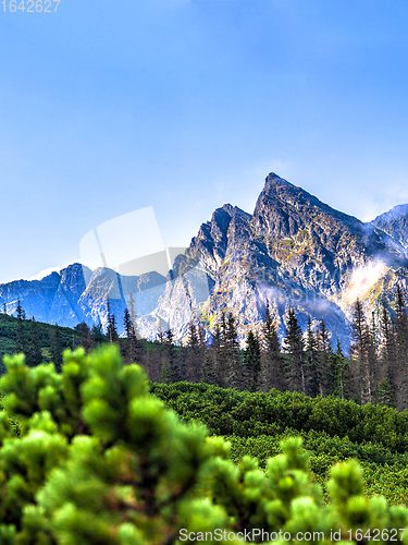 Image of Polish Tatra mountains summer landscape with blue sky and white clouds.