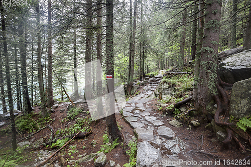 Image of Mountain trail in Tatry, Poland.