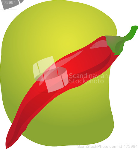 Image of Chilli illustration