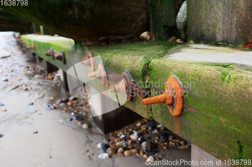 Image of Detail of weathered, algae-covered groyne sea defence