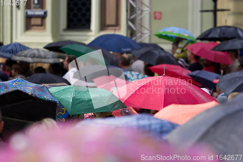 Image of Crowd of people with umbrellas