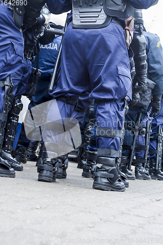 Image of Riot police unit