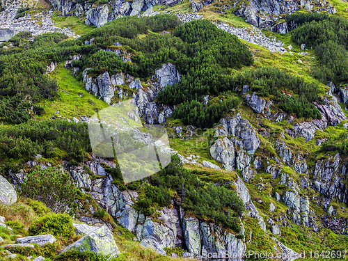 Image of Mountain slope closeup