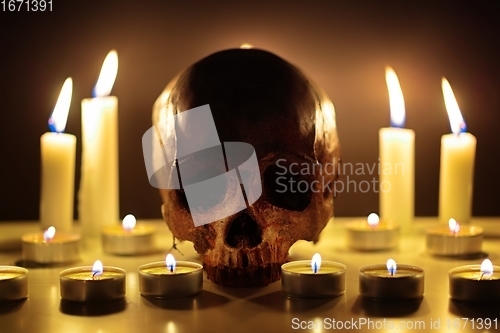 Image of Human skull in candle light closeup