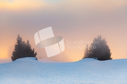 Image of Mist covered trees in the mountains