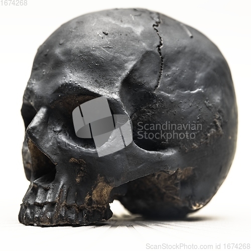 Image of Spooky dark black skull aginast white background isolated