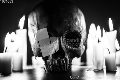 Image of Candles and human skull in darkness closeup in black and whiter