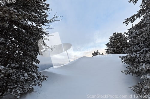 Image of Pure white untouched snow at sky resort