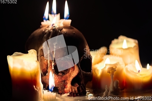 Image of Human skull in candle light closeup