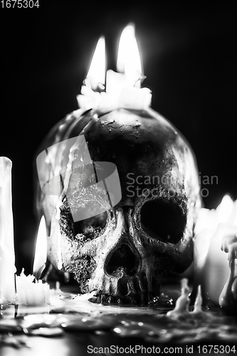 Image of Candles and human skull in darkness closeup in black and whiter