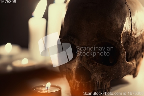 Image of Human skull against dark background in candle light closeup