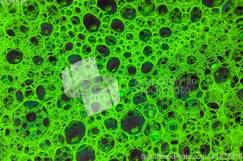 Image of Abstract colorful circular shaped elements as background template