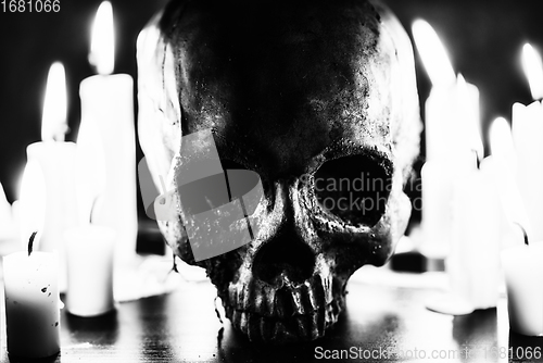 Image of Candles and human skull in darkness closeup in black and whiter