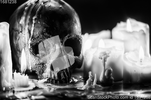 Image of Candles and human skull in darkness closeup in black and whiter