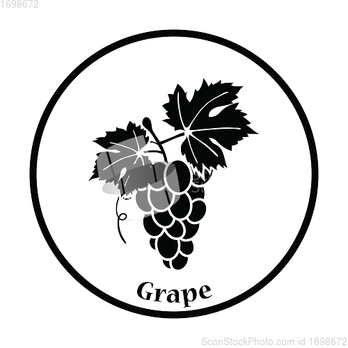 Image of Icon of Grape