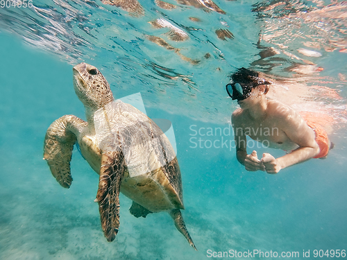 Image of Young boy Snorkel swim with green sea turtle, Egypt