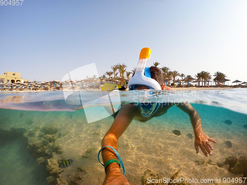 Image of Snorkel swim in shallow water with coral fish, Red Sea, Egypt