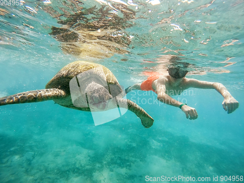 Image of Young boy Snorkel swim with green sea turtle, Egypt