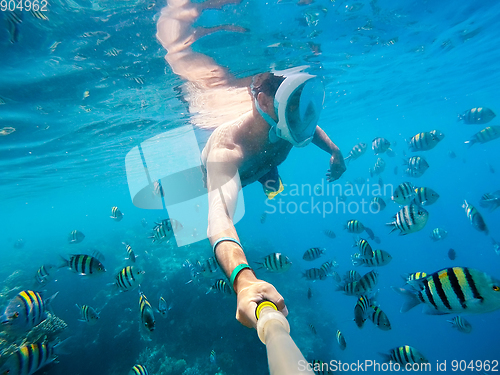 Image of Snorkel swim in shallow water with coral fish, Red Sea, Egypt