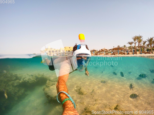 Image of Snorkel swim in shallow water with coral fish, Red Sea, Egypt