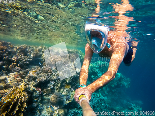 Image of Snorkel swim in shallow water with coral fish, Red Sea, Egypt