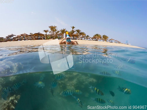 Image of Underwater surface split view of coral fish and resort beach wit