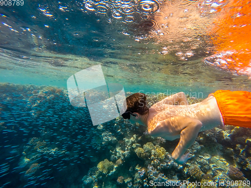 Image of Young boy Snorkel swim in shallow water with coral school of fis