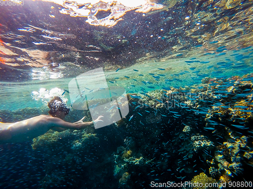 Image of Young boy Snorkel swim in shallow water with coral school of fis