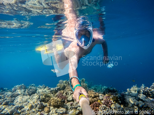 Image of Snorkel swim in shallow water with coral fish, Red Sea, Egypt