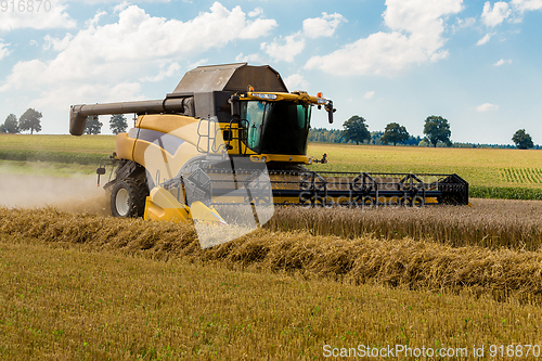 Image of Summer harvesting with automatic harvester