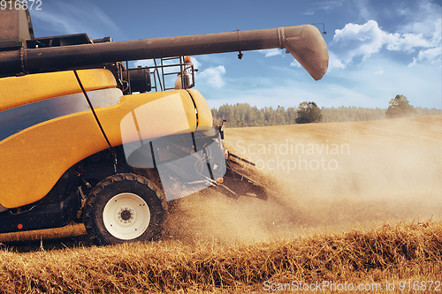 Image of Summer harvesting with automatic harvester