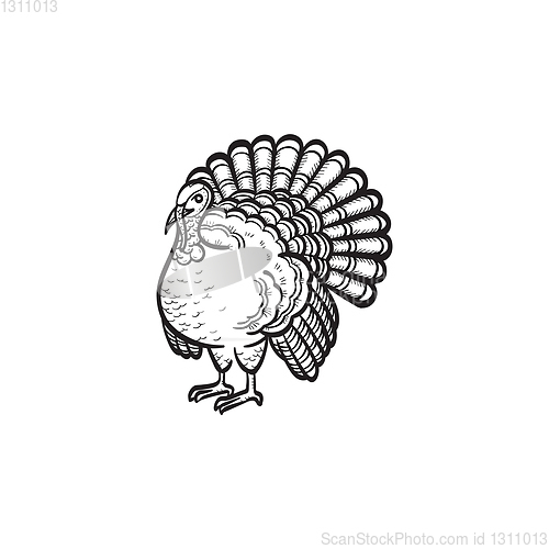 Image of Turkey hand drawn sketch icon.