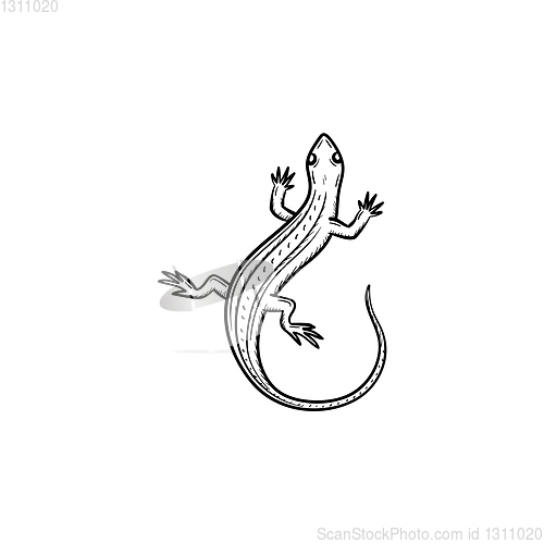 Image of Salamander hand drawn sketch icon.