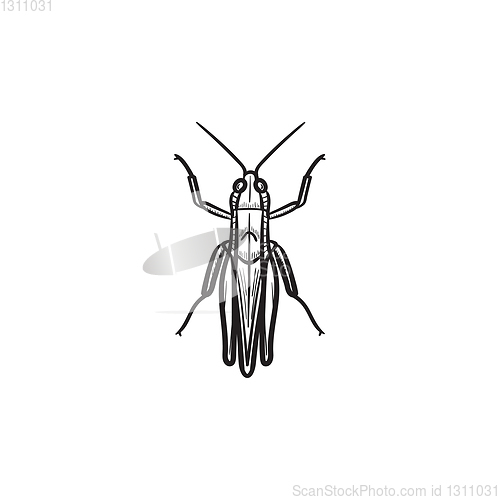 Image of Grasshopper hand drawn sketch icon.