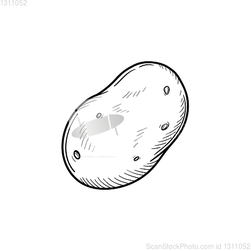 Image of Potato hand drawn sketch icon.
