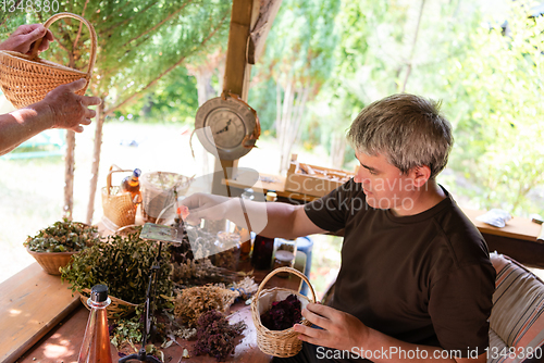 Image of herbalist small business owner