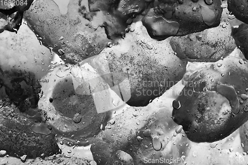 Image of Ice cubes as background texture closeup photo