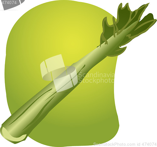 Image of Celery illustration