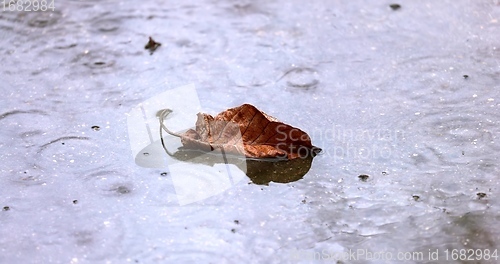 Image of Sad rainy day concept with wet surfaces