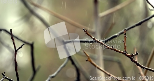 Image of Sad rainy day concept with wet surfaces