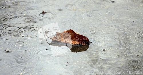 Image of Sad rainy day concept with wet surfaces