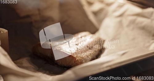 Image of Salmon grilled in frying pen closeup