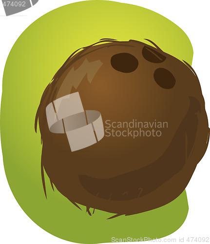 Image of Coconut illustration