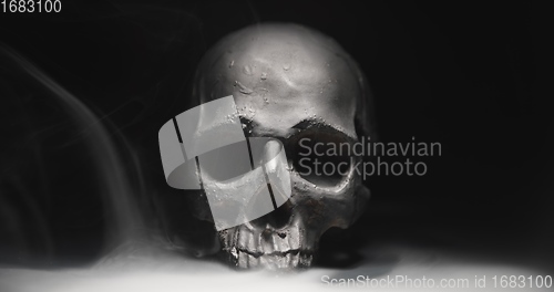 Image of Black skull in the darkness with smoke and fog