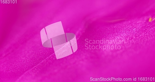 Image of Abstract multicolored surface closeup photo