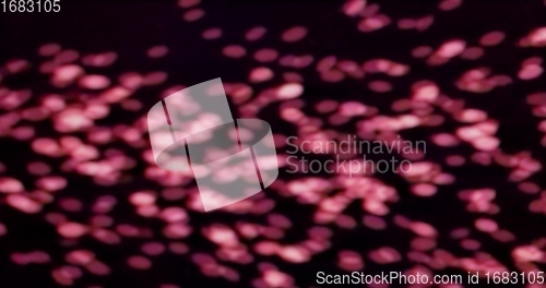 Image of Abstract Multicolored light and shapes closeup