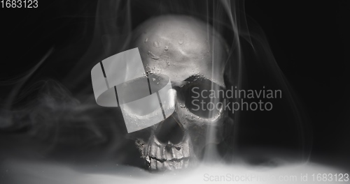 Image of Black skull in the darkness with smoke and fog